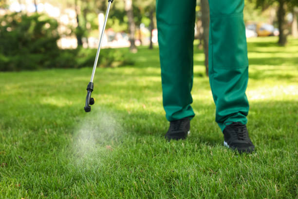 Best Local Pest Control Services  in Madisonville, LA