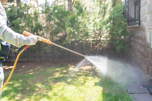 Spider Control Near Me in Madisonville, LA