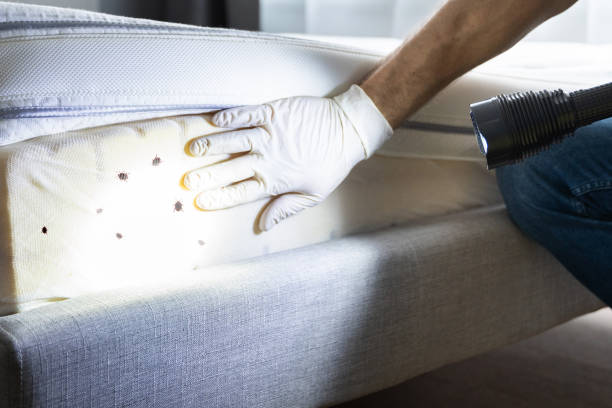 Best Pest Control Treatment  in Madisonville, LA