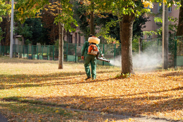 Best Mosquito Control Services  in Madisonville, LA