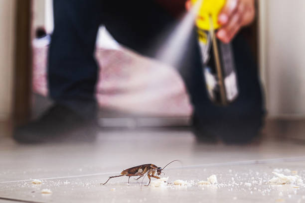Best Pest Prevention Services  in Madisonville, LA