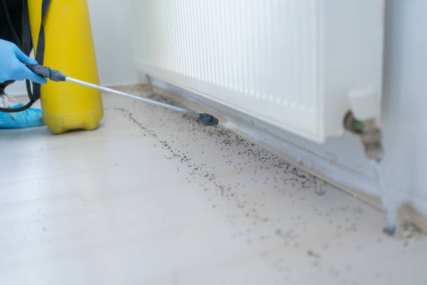 Best Residential Pest Control  in Madisonville, LA