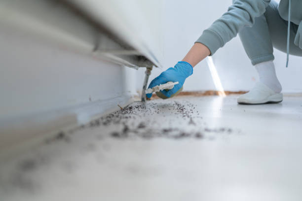 Best Termite Control Services  in Madisonville, LA